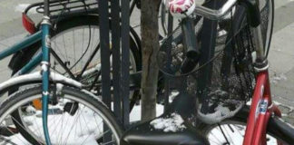 Verzin een Onderschrift - 08 februari 2020