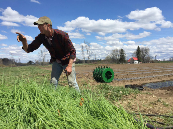 Verzin een Onderschrift - 19 februari 2020