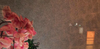 Verzin een Onderschrift - 26 februari 2020