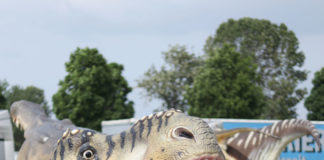 Verzin een Onderschrift - 12 maart 2020