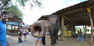 Verzin een Onderschrift - 13 maart 2020