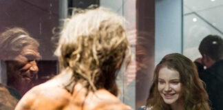 Verzin een Onderschrift - 8 juni 2020