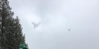 Verzin een Onderschrift - 10 juli 2020