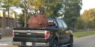 Verzin een Onderschrift - 16 juli 2020