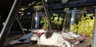 Verzin een Onderschrift - 23 juli 2020