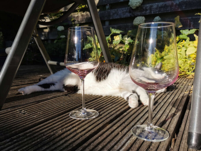 Verzin een Onderschrift - 23 juli 2020