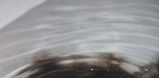 Verzin een Onderschrift - 30 juli 2020