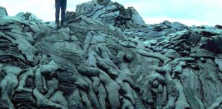 Verzin een Onderschrift - 4 augustus 2020