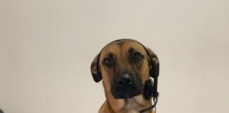 Verzin een Onderschrift - 11 augustus 2020