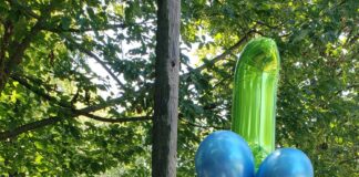 Verzin een Onderschrift - 20 augustus 2020