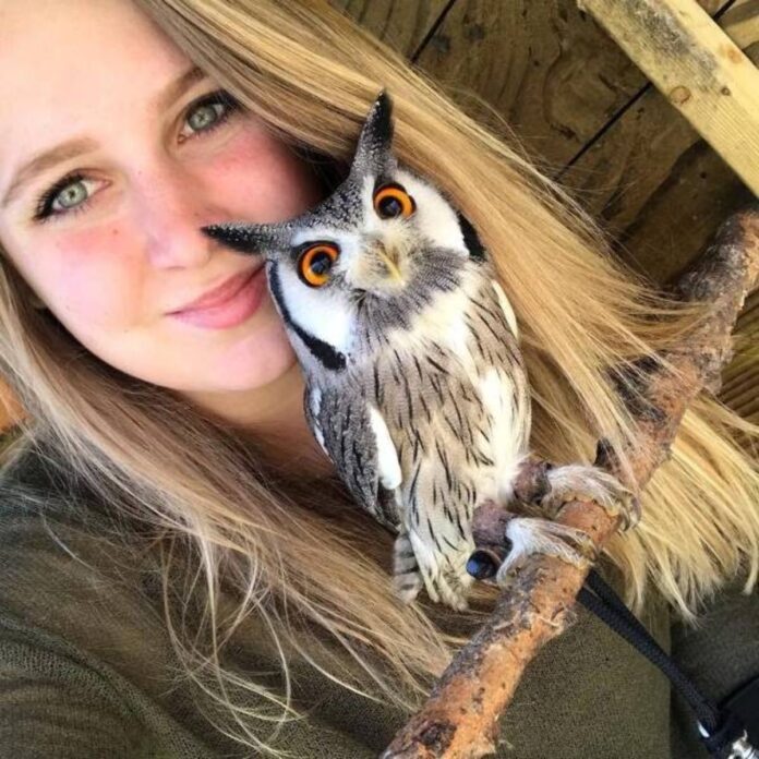 Verzin een Onderschrift - 15 september 2020