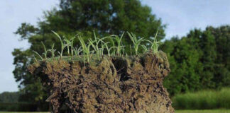 Verzin een Onderschrift - 25 september 2020