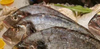 Verzin een Onderschrift - 17 oktober 2020