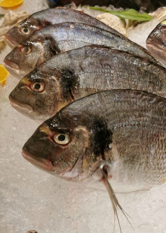 Verzin een Onderschrift - 17 oktober 2020