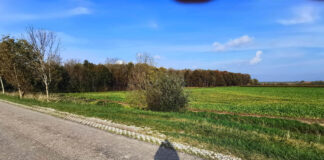 Verzin een Onderschrift - 20 oktober 2020