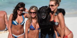 Verzin een Onderschrift - 23 oktober 2020