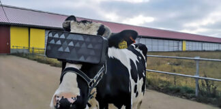 Verzin een Onderschrift - 29 oktober 2020