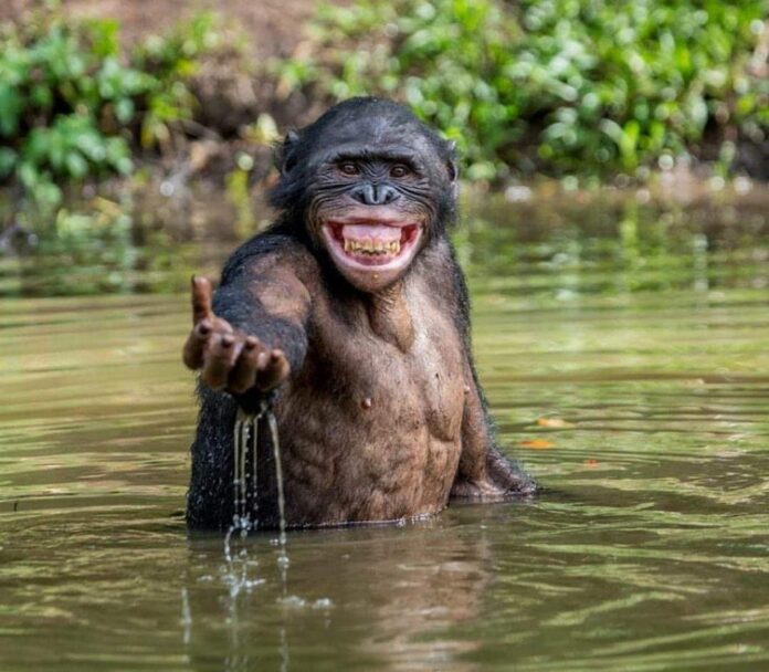 Verzin een Onderschrift - 5 november 2020