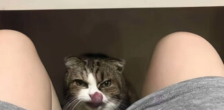 Verzin een Onderschrift - 23 november 2020