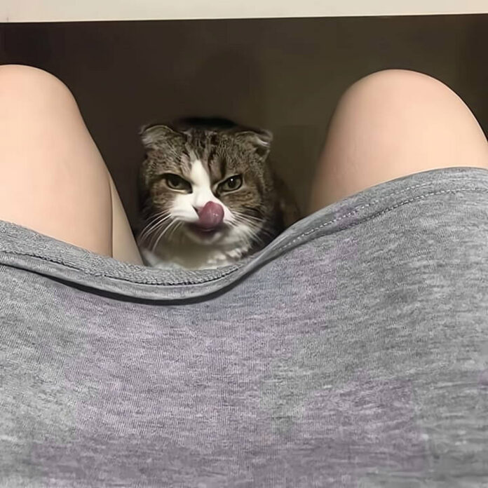 Verzin een Onderschrift - 23 november 2020