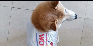 Verzin een Onderschrift - 4 december 2020