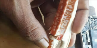 Verzin een Onderschrift - 28 december 2020