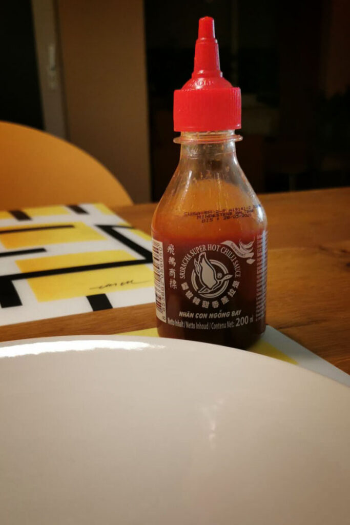 vretecool_jumbo_stoom_kip_ketjap-(1)