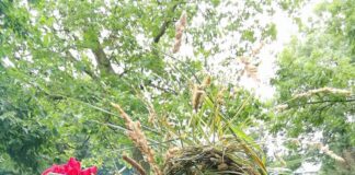 Verzin een Onderschrift - 4 januari 2021