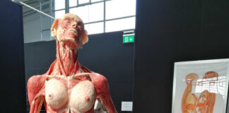 Verzin een Onderschrift - 14 januari 2021