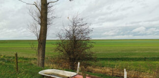 Verzin een Onderschrift - 29 januari 2021