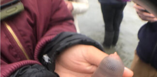 Verzin een Onderschrift - 2 februari 2021