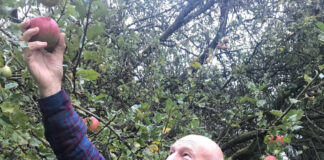 Verzin een Onderschrift - 8 februari 2021