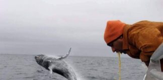 Verzin een Onderschrift - 10 maart 2021