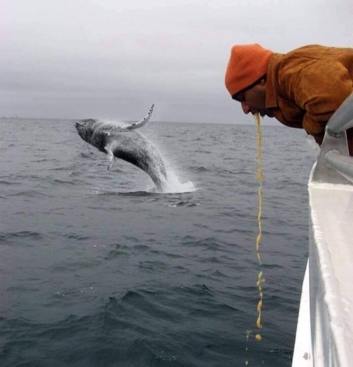 Verzin een Onderschrift - 10 maart 2021