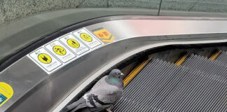 Verzin een Onderschrift - 25 maart 2021