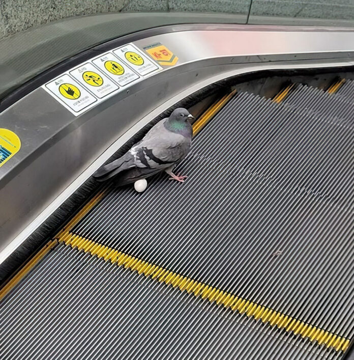 Verzin een Onderschrift - 25 maart 2021