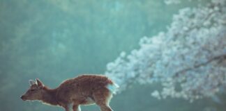 Verzin een Onderschrift - 23 april 2021