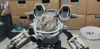 Verzin een Onderschrift - 29 april 2021