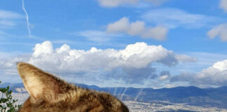 Verzin een Onderschrift - 30 april 2021