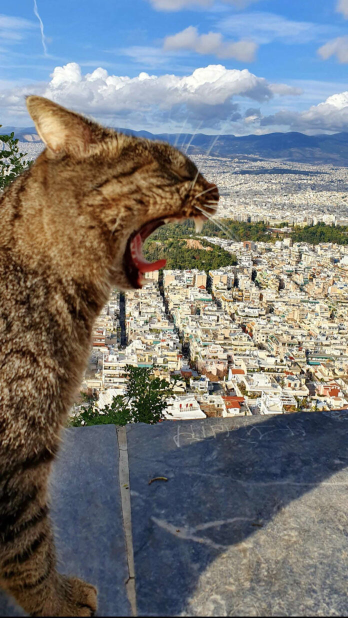 Verzin een Onderschrift - 30 april 2021