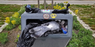 Verzin een Onderschrift - 10 mei 2021