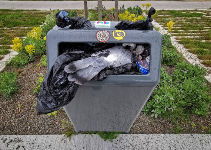 Verzin een Onderschrift - 10 mei 2021