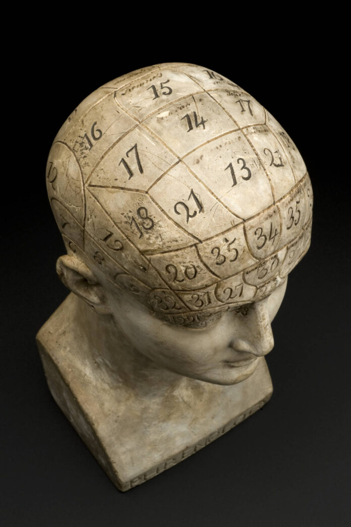 Earthenware_phrenological_bust,_areas_are_marked_off_with_an_Wellcome_L0057601