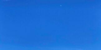 Verzin een Onderschrift - 14 juni 2021