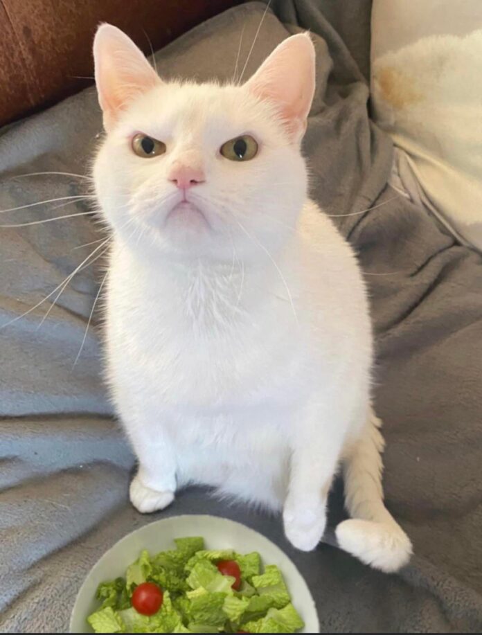 Verzin een Onderschrift - 25 juni 2021 Verzin een Onderschrift - 25 juni 2021