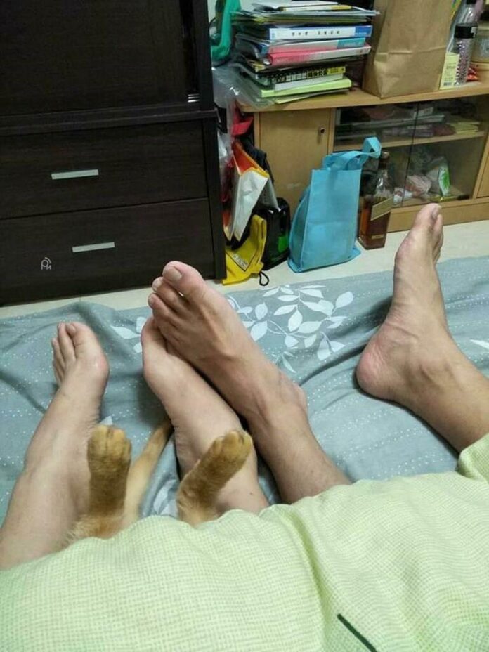 Verzin een Onderschrift - 29 juni 2021 Verzin een Onderschrift - 29 juni 2021