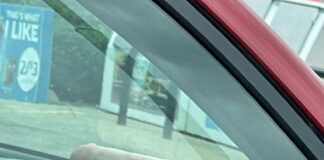 Verzin een Onderschrift - 5 juli 2021