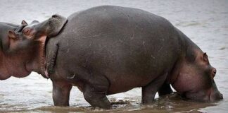 Verzin een Onderschrift - 7 juli 2021