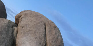 Verzin een Onderschrift - 15 juli 2021