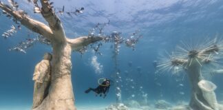 Courtesy: © MUSAN / @JasondeCairesTaylor © MUSAN / Costas Constantinou